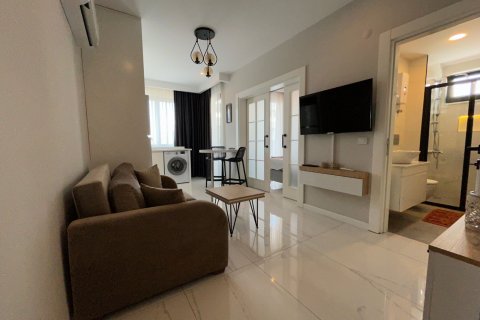 1+1 Apartment  in Alanya, Antalya, Turkey No. 134549