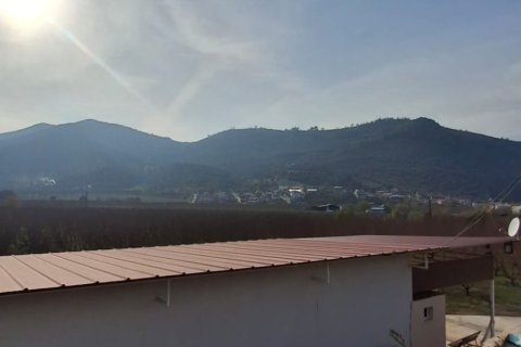 Tom i Selcuk, Izmir, Tyrkiet Nr. 223234 - 4