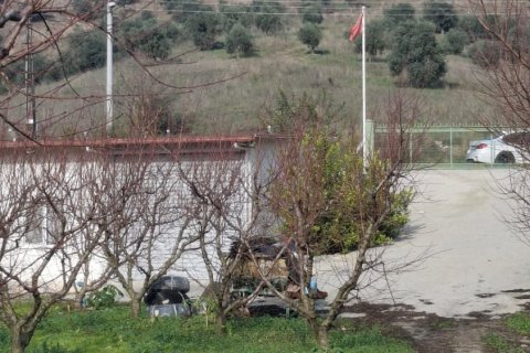 Tom i Selcuk, Izmir, Tyrkiet Nr. 223234 - 5