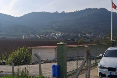 Tom i Selcuk, Izmir, Tyrkiet Nr. 223234 - 2