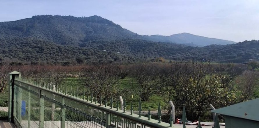 Tom i Selcuk, Izmir, Tyrkiet Nr. 223234