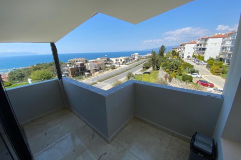   i Kusadasi, Aydin, Tyrkiet Nr. 227464 - 11