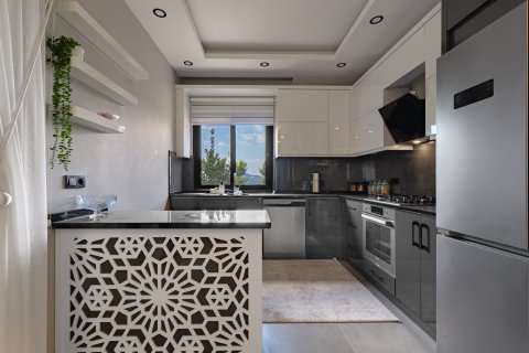 Arsa Demirtaş, Alanya, Antalya, Türkiye №223141 - 14