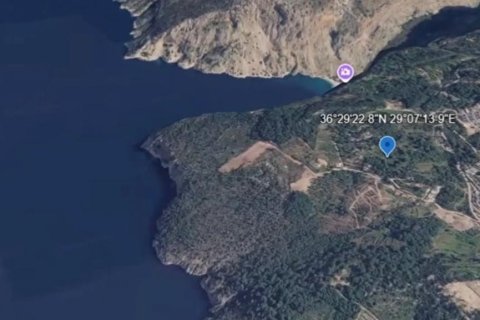 Tom i Fethiye, Mugla, Tyrkiet Nr. 227057 - 7