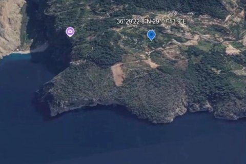 Tom i Fethiye, Mugla, Tyrkiet Nr. 227057 - 8