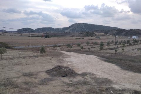 Arsa İskele, Iskele, №104339 - 2