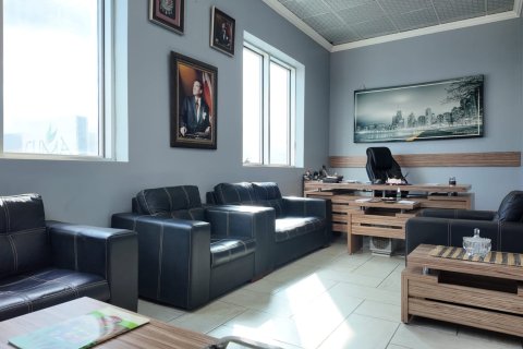Ticari gayrimenkul   Kemalpaşa, İzmir, Türkiye №223277 - 15