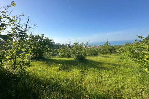 Продажа земельного участка в Трабзоне, Турция, №228501 – фото 8