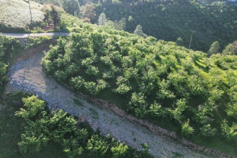 Продажа земельного участка в Трабзоне, Турция, №228501 – фото 10