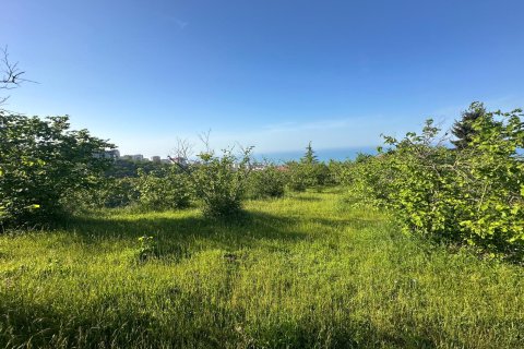 Продажа земельного участка в Трабзоне, Турция, №228501 – фото 9