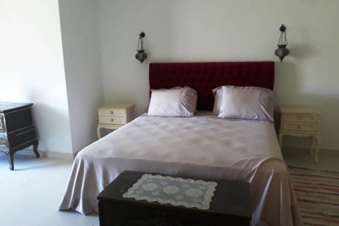 8+1 Villa i Turkbuku, Mugla, Tyrkiet Nr. 214898 - 11