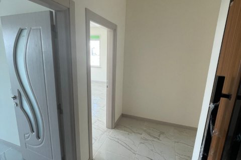 baf5d636593640669201b6948364675d.jpeg