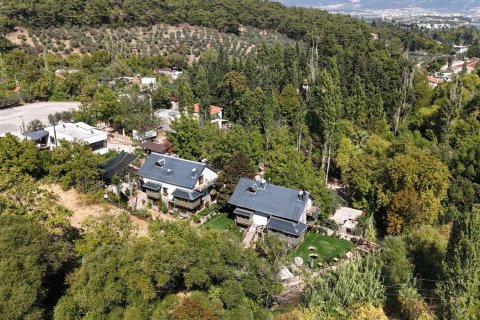 Villa i Izmir, Tyrkia Nr. 212697 - 23