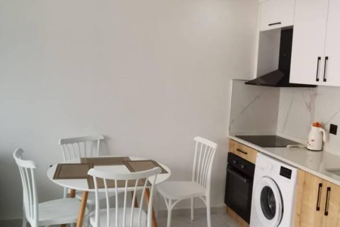 Daire 1+1 Alanya, Antalya, Türkiye №224807 - 14