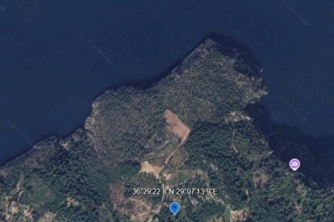 Tom i Fethiye, Mugla, Tyrkiet Nr. 227057 - 6