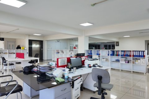 Erhvervsejendom  i Turgutlu, Manisa, Tyrkiet Nr. 223250 - 10