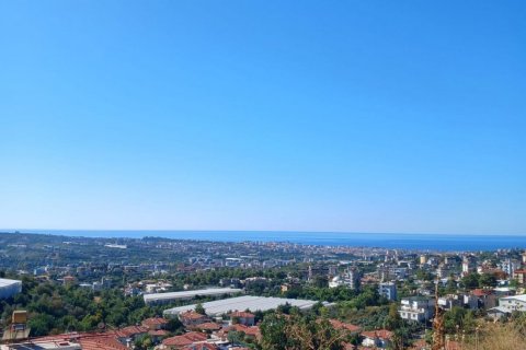 Tom  i Oba, Antalya, Tyrkiet Nr. 139230
