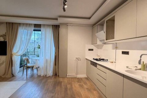 1+1 Wohnung  in Konyaalti, Antalya, Türkei Nr. 223331