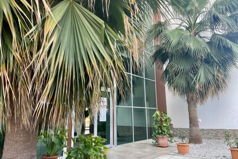 1+1 Lejlighed i Kestel, Antalya, Tyrkiet Nr. 133889 - 19