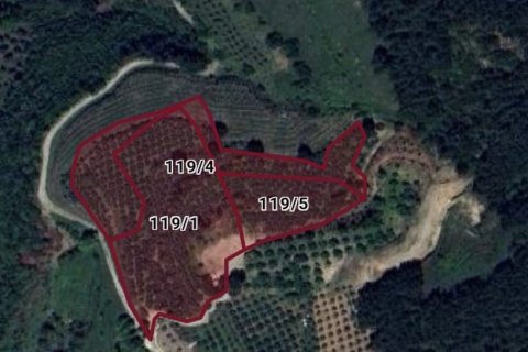 Land  in Selcuk, Izmir, Türkei Nr. 223246 - 3