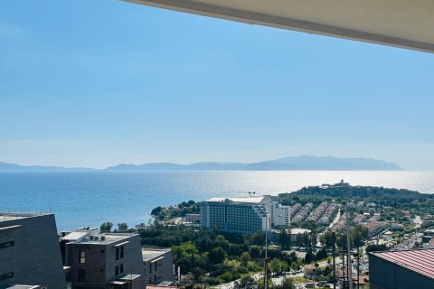  در  Kusadasi ، ترکیه 220 متر مربع.  شماره 228659 - 15