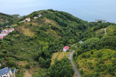 Продажа земельного участка в Акчаабате, Трабзоне, Турция, №232191 – фото 13