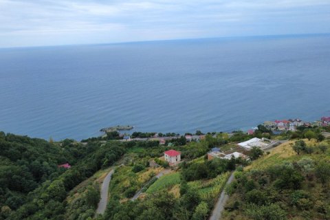 Продажа земельного участка в Акчаабате, Трабзоне, Турция, №232191 – фото 11