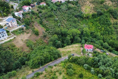 Продажа земельного участка в Акчаабате, Трабзоне, Турция, №232191 – фото 12
