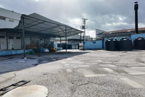 Ticari gayrimenkul   Kemalpaşa, İzmir, Türkiye №223277 - 20