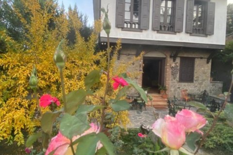 Retail store for sale  in Selcuk, Izmir, Turkey, 125m2, No. 223235 – photo 9