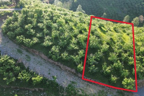Продажа земельного участка в Трабзоне, Турция, №228501 – фото 13
