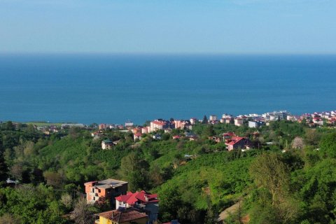 Продажа земельного участка в Трабзоне, Турция, №228501 – фото 12