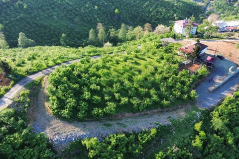 Продажа земельного участка в Трабзоне, Турция, №228501 – фото 14