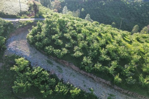 Продажа земельного участка в Трабзоне, Турция, №228501 – фото 11