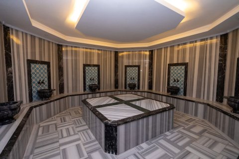 2+0 Lägenhet i Mahmutlar, Antalya, Turkiet Nr. 227162 - 5