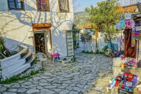 Kommersiella fastigheter i Selcuk, Izmir, Turkiet Nr. 223247 - 3