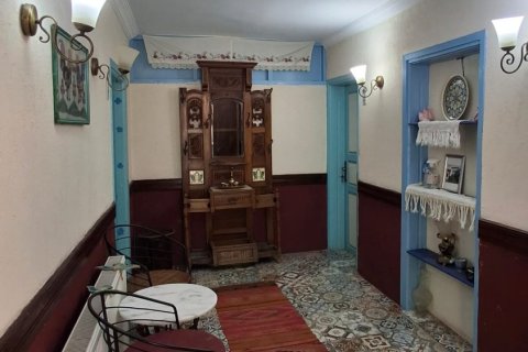 Kommersiella fastigheter i Selcuk, Izmir, Turkiet Nr. 223247 - 5