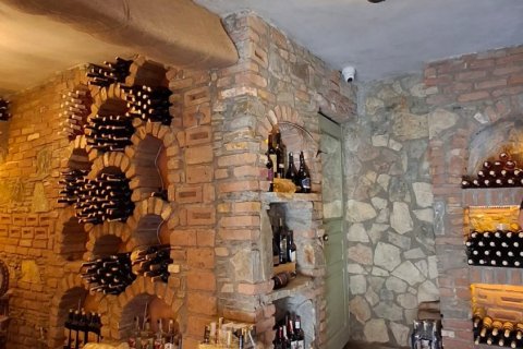 Kommersiella fastigheter i Selcuk, Izmir, Turkiet Nr. 223247 - 27