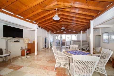 1+1 Lägenhet  i Oba, Antalya, Turkiet Nr. 87644 - 7