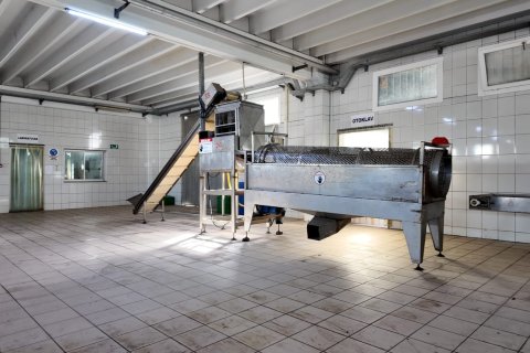 Ticari gayrimenkul   Kemalpaşa, İzmir, Türkiye №223277 - 10