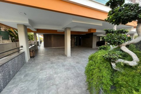 Daire 2+1 Kestel, Antalya, Türkiye №102739 - 11