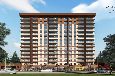 Vera Levent  i Eyup, istanbul, Turkiet Nr.87515