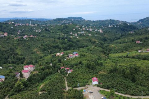 Land plot for sale in Arsin, Trabzon, Turkey, studio, No. 237528 – photo 13