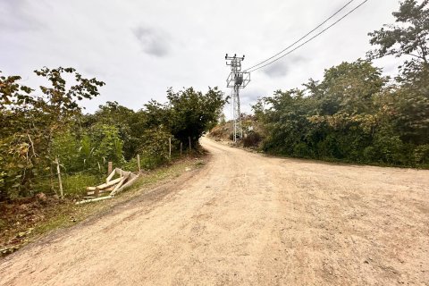 Land plot for sale in Arsin, Trabzon, Turkey, studio, No. 237528 – photo 11