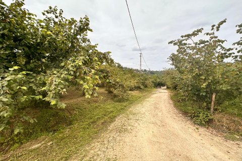 Land plot for sale in Arsin, Trabzon, Turkey, studio, No. 237528 – photo 12