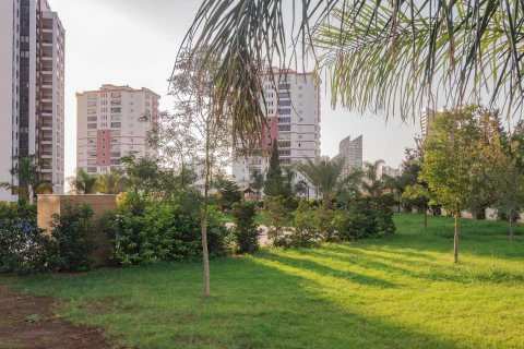 Oktay Midu  i Bursa, Turkiet Nr.86965 - 10