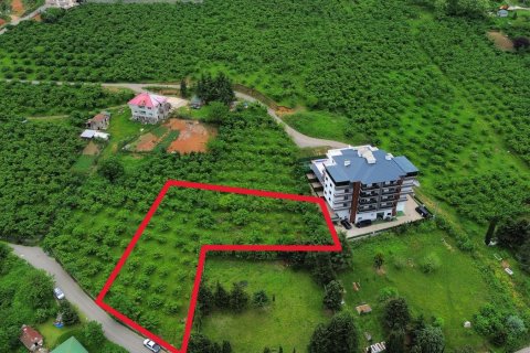 1+1 Leilighet i Trabzon, Tyrkia Nr. 228471 - 2
