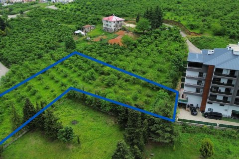 1+1 Leilighet i Trabzon, Tyrkia Nr. 228471 - 3