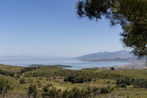   in Izmir, Türkei Nr. 92112 - 7