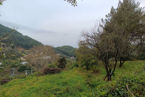 Land plot  in Oba, Antalya, Turkey No. 96732